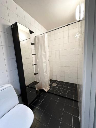 a bathroom with a shower and a toilet in it at Lägenhet Svängsta in Svängsta
