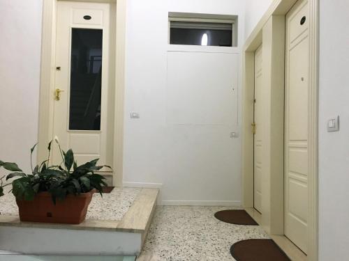 Φωτογραφία από το άλμπουμ του B&B Fighera σε Gravina in Puglia