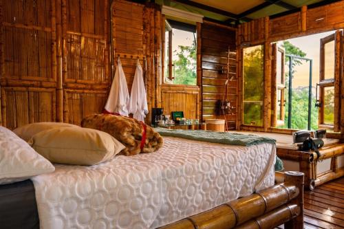 a bed in a room with wooden walls and windows at Rinconcito Guzmán in Pereira