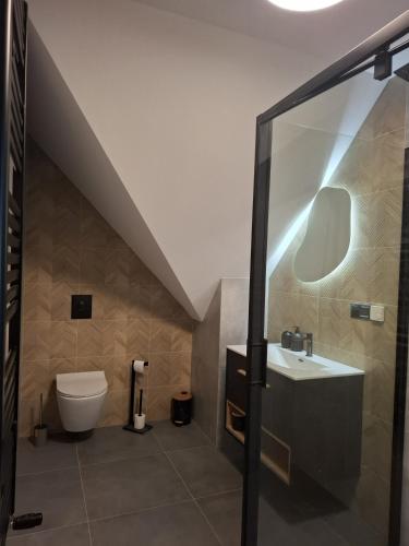a bathroom with a toilet and a sink at Zacisze Wilcza in Zarzecze