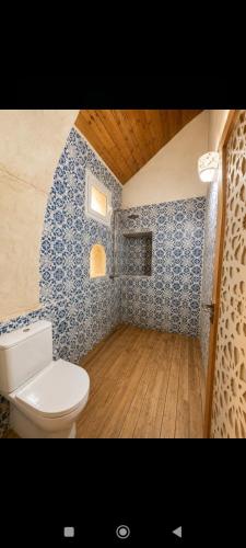 a bathroom with a toilet and blue tiles at Dar ennoul in Houmt Souk