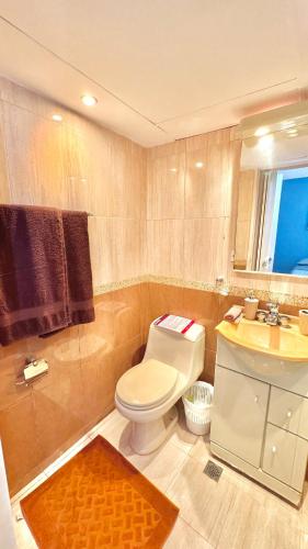 a bathroom with a toilet and a sink at Genoves Suite muy centrico in Porlamar