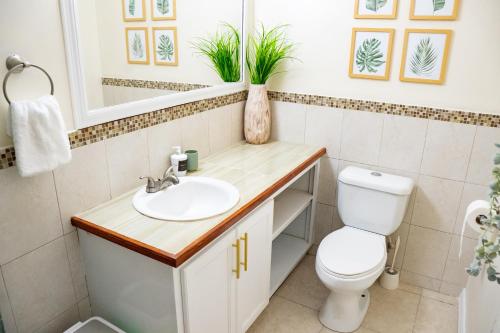 a bathroom with a sink and a toilet and a mirror at Golden View Unit 204 in Saint James