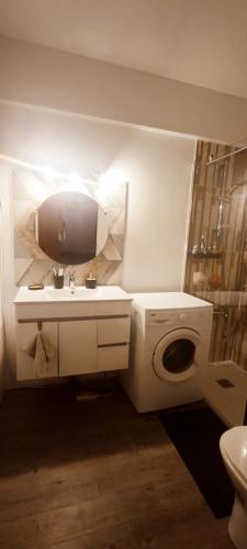 a bathroom with a sink and a washing machine at Appartement PRIMAVERA in Armação de Pêra