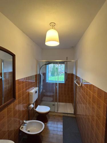a bathroom with a shower and a toilet and a sink at Minho AL in Paredes de Coura