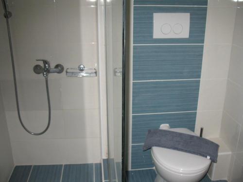 a bathroom with a shower and a toilet with a shower at Villas Odysseas in Nydri