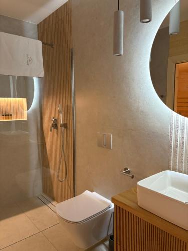 a bathroom with a shower and a toilet and a sink at Kącik Na Dolinie in Groń