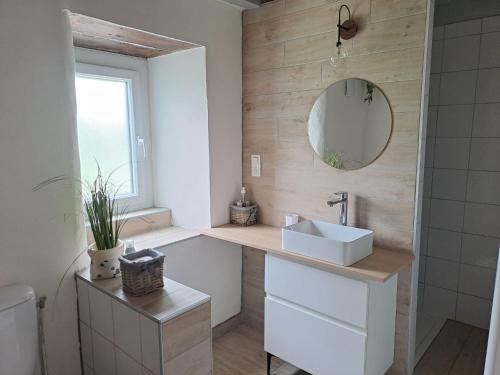 a bathroom with a sink and a mirror at location gite chez DENIS in Alçay-Alçabéhéty-Sunharette