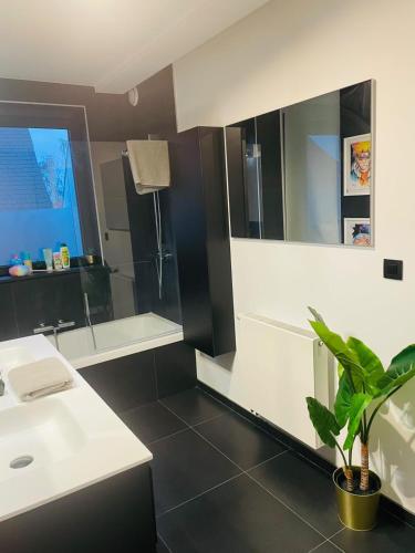 a bathroom with a shower and a sink and a toilet at Tommorowland Apartement in Boom