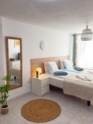 a bedroom with a large bed and a mirror at Cactus Apartment in Playa Fañabe