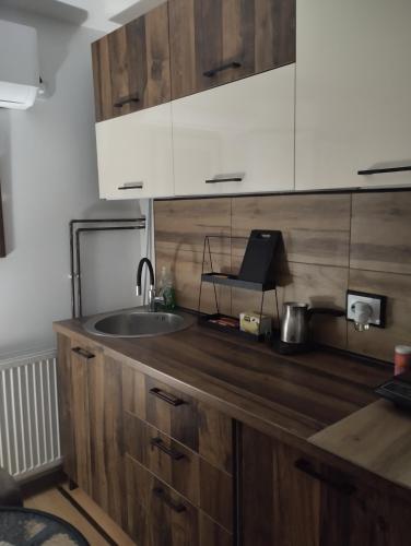 a kitchen with wooden cabinets and a sink at Studio Djordjevic in Kraljevo