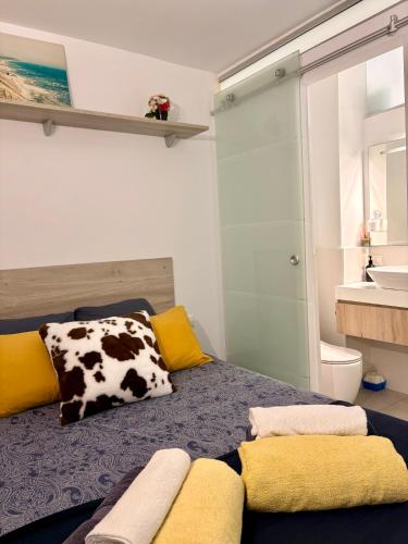 MODERN COMFORT RENOVATED CANTERAS