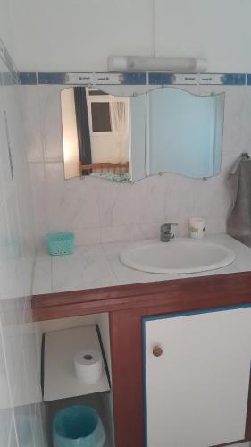 a bathroom with a sink and a mirror at Bungalow vue sur mer in Sainte-Anne