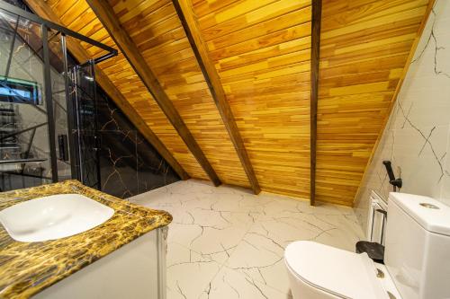 a bathroom with a sink and a toilet at Qafqaz Cabana Chalet in Gabala