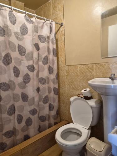 a bathroom with a toilet and a shower curtain at Bungalows Payancas de Tato in Barranca