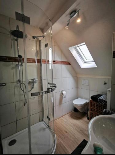 a bathroom with a shower and a sink and a toilet at Haus Sonnenschein in Bad Bertrich