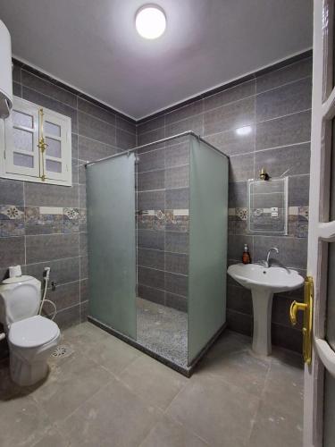 a bathroom with a shower and a toilet and a sink at El Agamy Hotel Apartment in Luxor