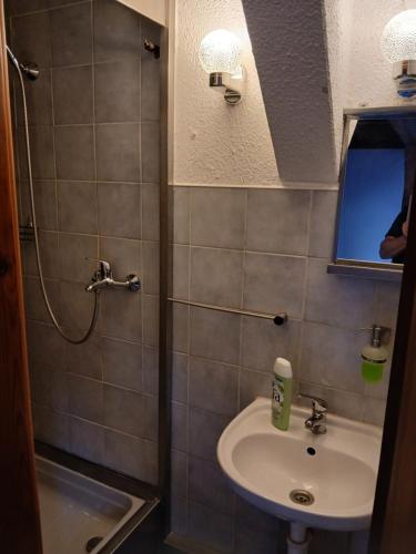 a small bathroom with a sink and a mirror at Penzion Jakuby in Děčín