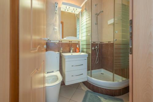 a bathroom with a toilet and a sink and a shower at Apartmani Aleks in Budva