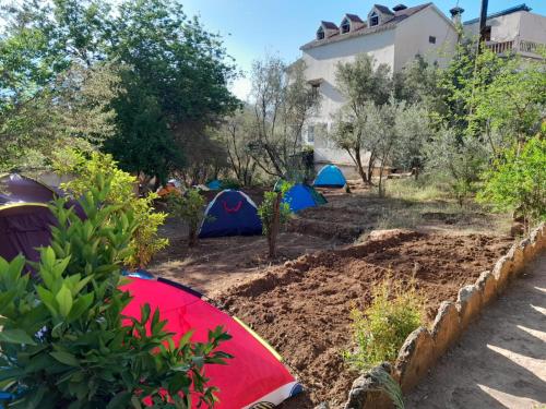 a group of tents in a garden at Gite Tilouguite in Tillouguit nʼAït Isha