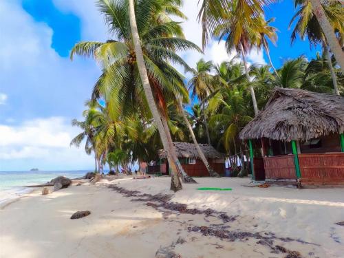 a beach with palm trees and a building on it at Cabañas frente al mar Isla de Guna Yala Aroma in Niatupo