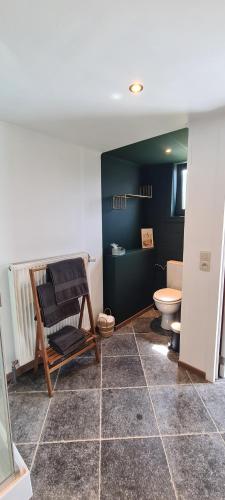 a bathroom with a toilet and a chair in it at Les Limousines - Proche de Pairi Daiza, Mons, Soignies in Soignies