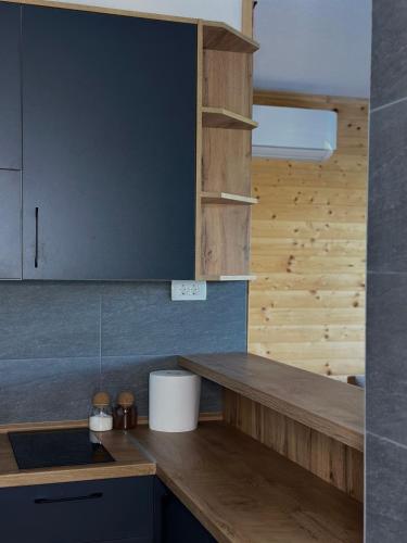 a kitchen with a counter top and a sink at Villa Vasilije in Šavnik