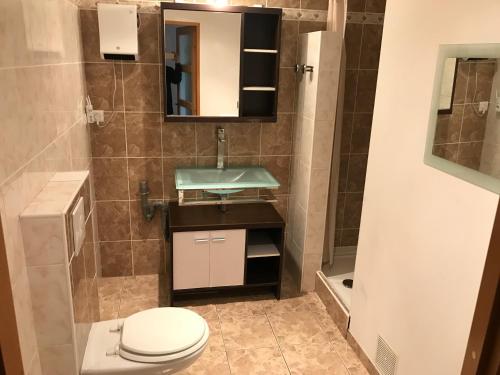 une salle de bain avec un lavabo et des toilettes dans l'établissement Appartement, Lyon, Villeurbanne, à Villeurbanne