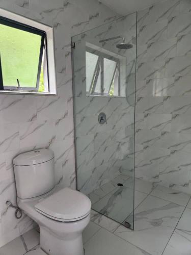 a bathroom with a toilet and a glass shower at Niasha Gardens in Chinhoyi