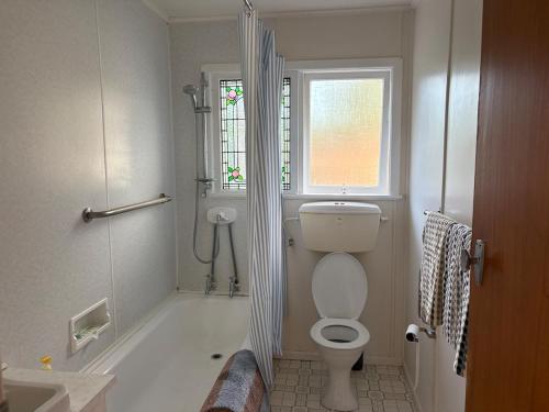 a bathroom with a toilet and a shower with a window at Cute Chartwell Cottage in Hamilton