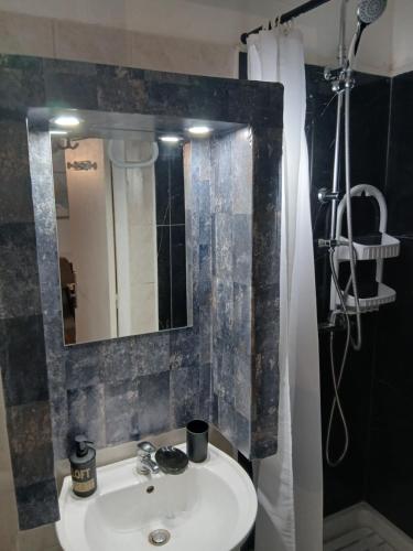 a bathroom with a sink and a mirror and a shower at Sucriers in Garnier