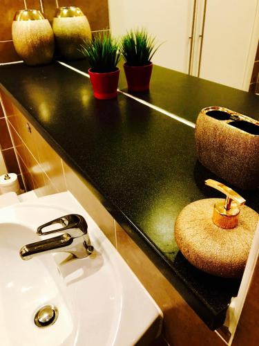 a bathroom with a sink and potted plants on a counter at Glasgow City Center Flat with Parking in Glasgow