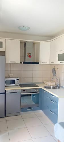 Apartmani Ana i Predrag -Lopar