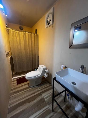 a bathroom with a toilet and a sink at Agujas hostel in Puerto Jiménez
