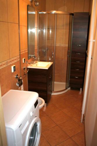 a bathroom with a toilet and a sink and a washing machine at Robotnicza 59 Old Town Apartment in Elblag
