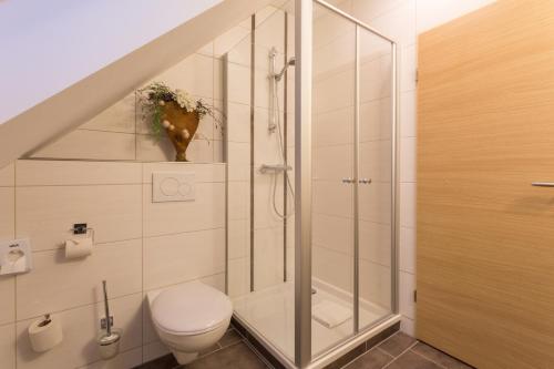 a bathroom with a toilet and a glass shower at Landhotel Grätz in Emmering