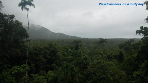 a view of a jungle with a palm tree at Stonewood Views in Diwan