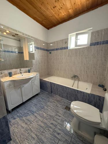 a bathroom with a toilet and a sink and a tub at Lemon tree apartment in Kyllini
