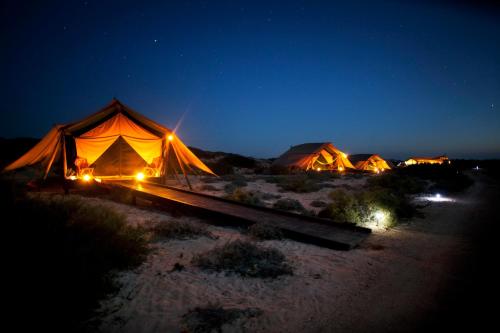 a group of tents in the desert at night at Sal Salis Ningaloo Reef in Exmouth