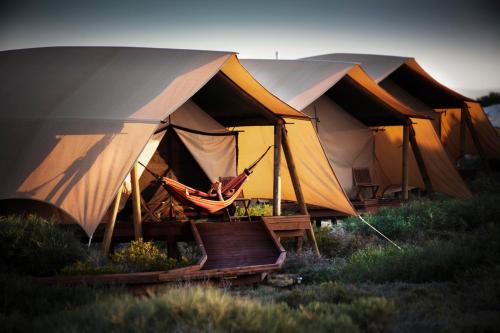 a row of tents with a hammock in front at Sal Salis Ningaloo Reef in Exmouth