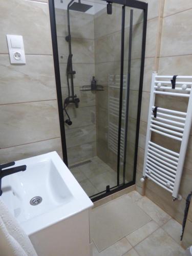 a bathroom with a shower and a sink at Pogácsás Apartman III in Tokaj