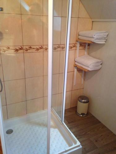 a shower with a glass door in a bathroom at Le chant des oiseaux in Nibas