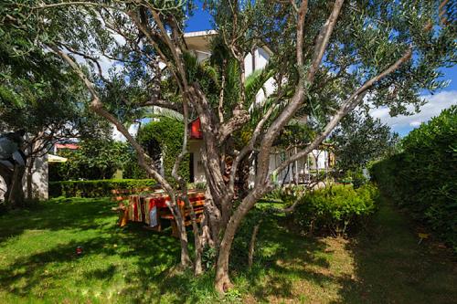 Hostel Oktarin