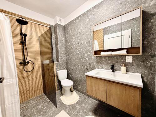 a bathroom with a sink and a toilet and a shower at Casa ZUGO in Borsec