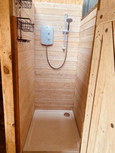 a shower in a wooden bathroom with a toilet at Ebb Dome at Estuary Escapes in Kingsbridge