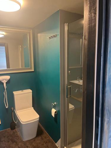 a bathroom with a toilet and a shower at Noclegi Zakątek in Okuninka