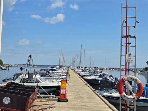 a bunch of boats docked at a dock at Malenasro in Karlshamn