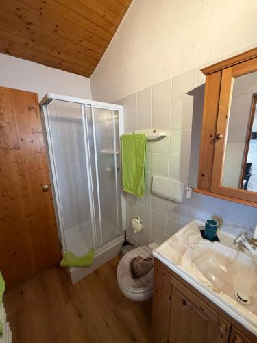 a bathroom with a shower and a toilet and a sink at Rustico senza punti in Contra