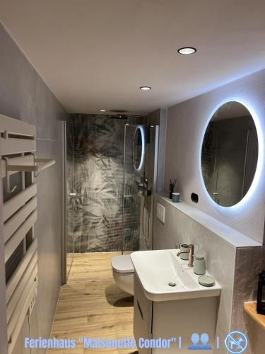 a bathroom with a toilet and a sink and a shower at Seeblick Cottage in Ziemitz