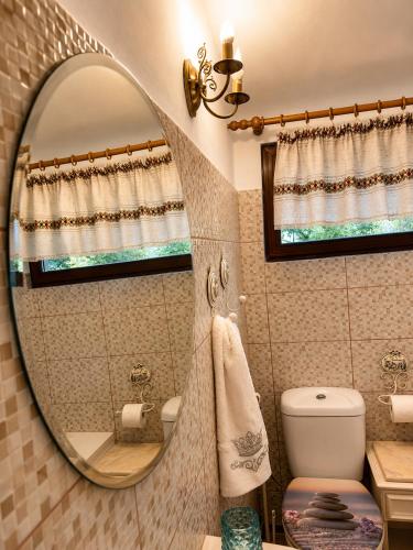 a bathroom with a mirror and a toilet at Casuta Irinei in Gura Vadului
